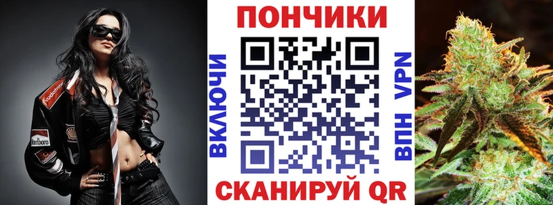 Купить закладку Кокаин  А ПВП  ГАШИШ  Галлюциногенные грибы  МЕФ  Дрезна