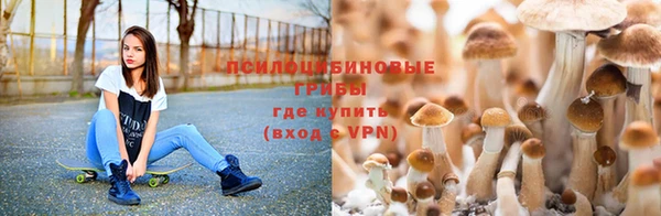 герыч Зеленокумск